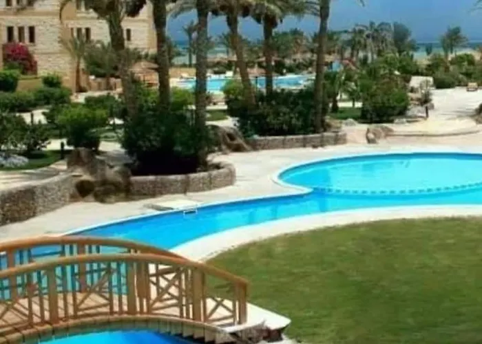 Palma Hiind Apartment