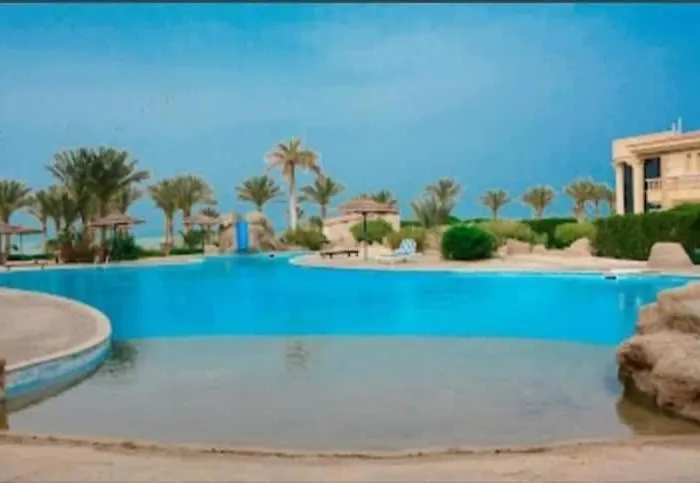 Palma Hiind Hurghada