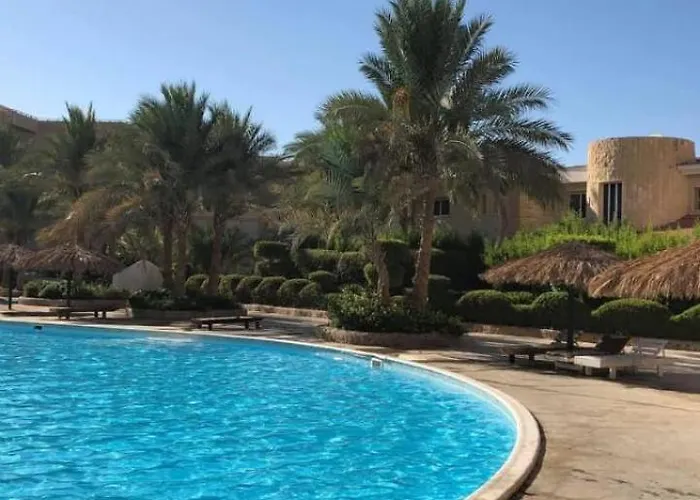Palma Hiind Hurghada